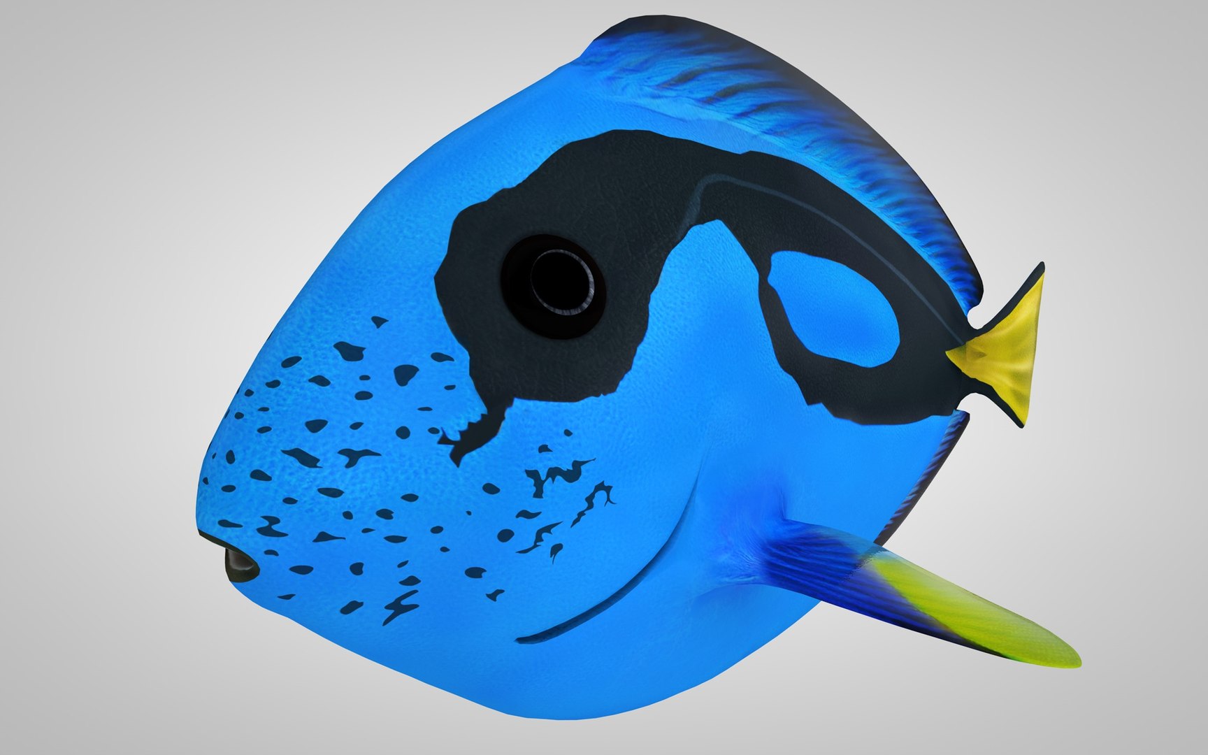 Blue - 3d Model