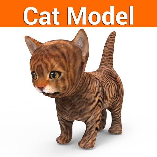 3D cute cat