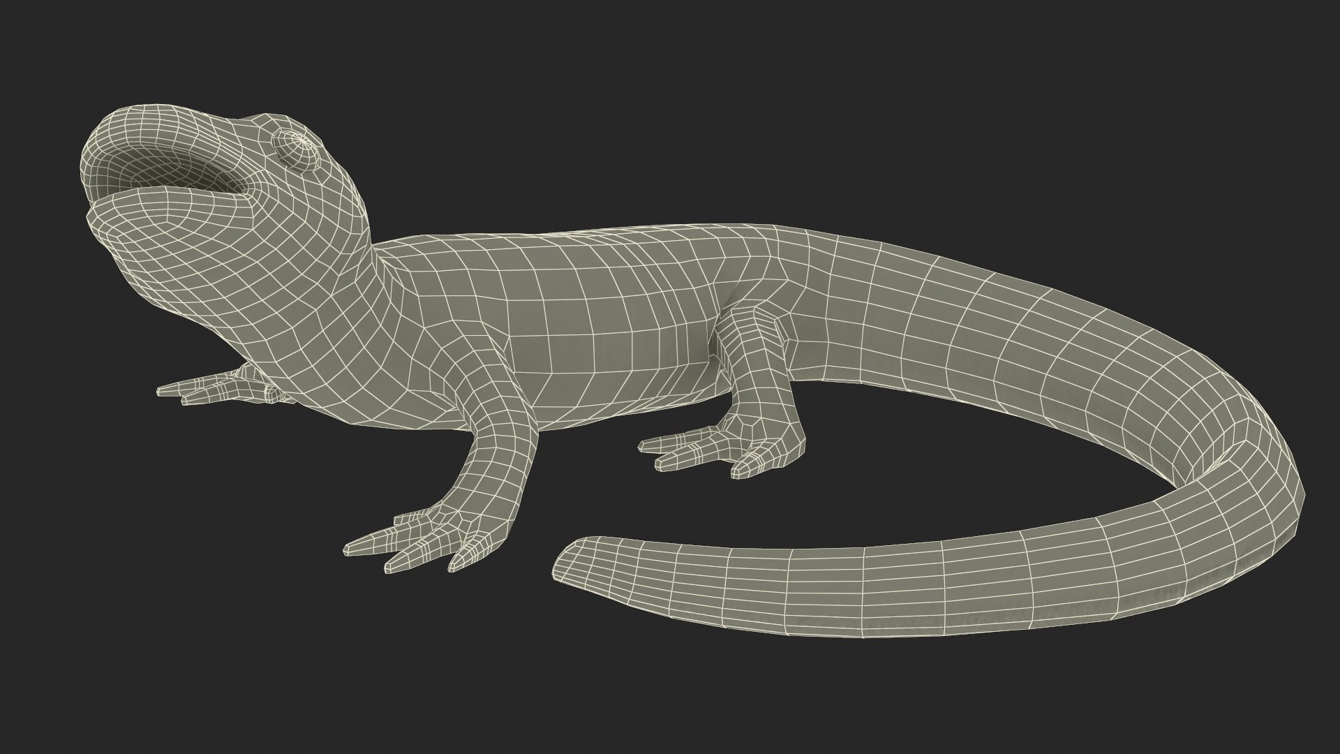 3D model Iberian Ribbed Newt Rigged for Maya https://p.turbosquid.com/ts-thumb/bg/HdPyFk/97/iberianribbednewtriggedformayavray3dmodel031/jpg/1701155265/1920x1080/fit_q87/5ee0ade3019343cf8813b7bbc3399e450bf475fc/iberianribbednewtriggedformayavray3dmodel031.jpg