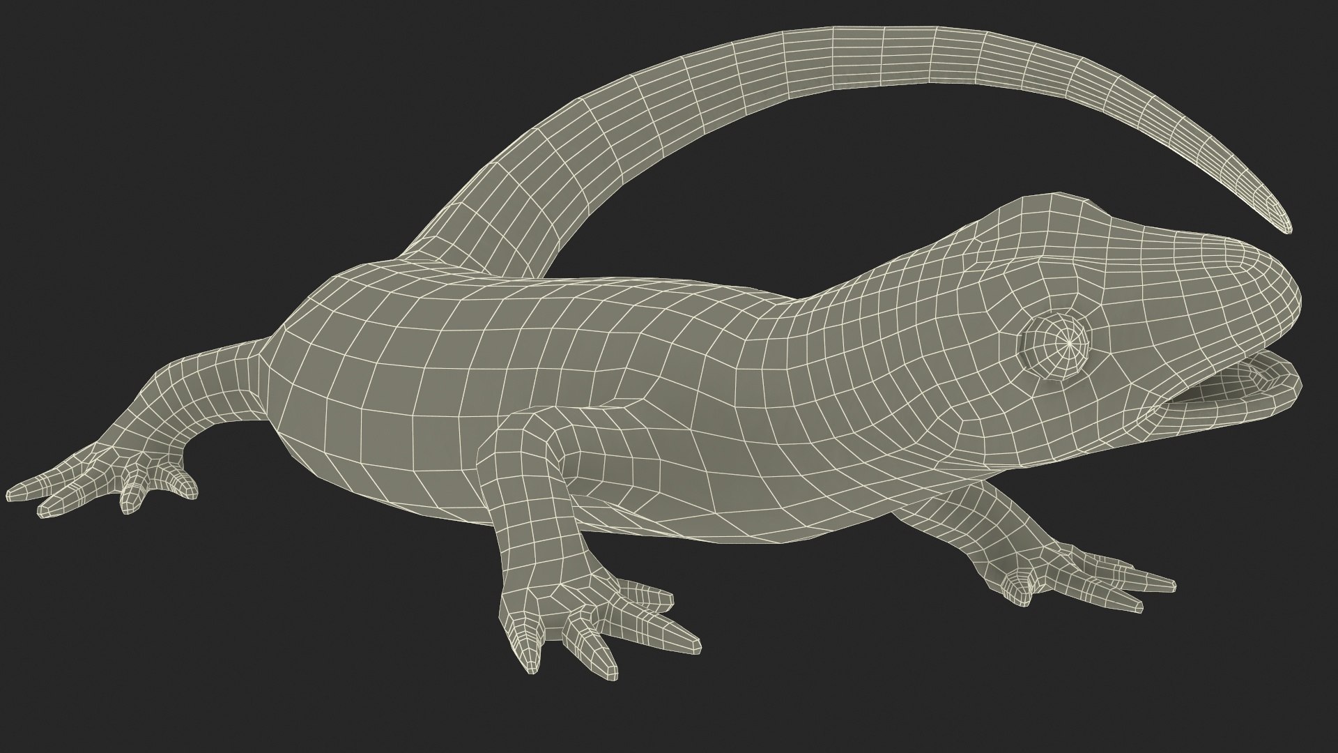 3D model Iberian Ribbed Newt Rigged for Maya https://p.turbosquid.com/ts-thumb/bg/HdPyFk/Gy/iberianribbednewtriggedformayavray3dmodel033/jpg/1701155273/1920x1080/fit_q87/c46e31fd096fca053f5af3e1d29cd47b0f88a745/iberianribbednewtriggedformayavray3dmodel033.jpg