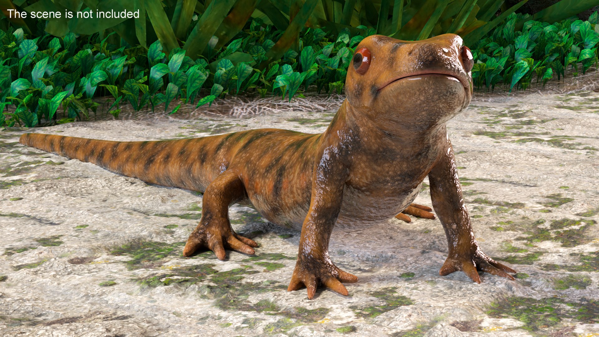 3D model Iberian Ribbed Newt Rigged for Maya https://p.turbosquid.com/ts-thumb/bg/HdPyFk/S6/iberianribbednewtriggedformayavray3dmodel010/jpg/1701155186/1920x1080/fit_q87/56bc8b10144a73efb66958f672da09c045ed6f3b/iberianribbednewtriggedformayavray3dmodel010.jpg