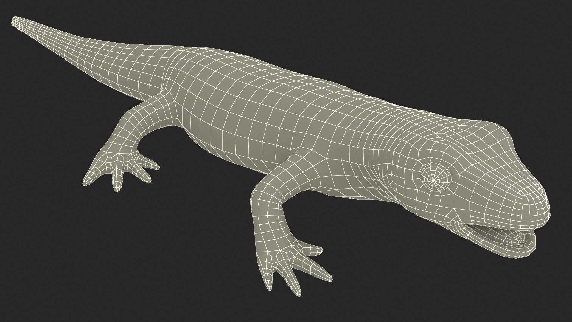 3D model Iberian Ribbed Newt Rigged for Maya https://p.turbosquid.com/ts-thumb/bg/HdPyFk/UN/iberianribbednewtriggedformayavray3dmodel036/jpg/1701155286/1920x1080/fit_q87/51870b649115385e0cc1ae6c6df6c2774ad2758c/iberianribbednewtriggedformayavray3dmodel036.jpg