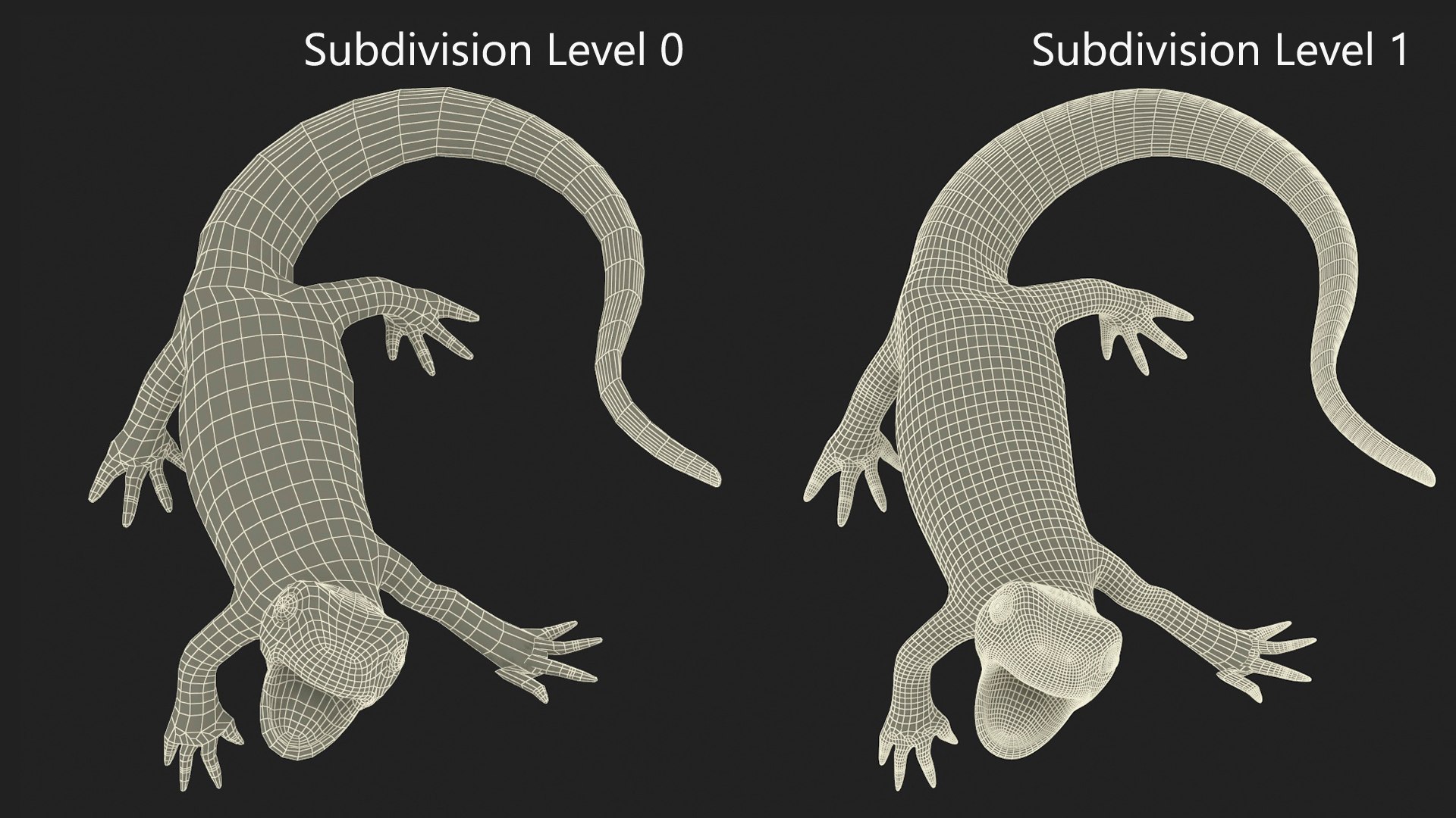 3D model Iberian Ribbed Newt Rigged for Maya https://p.turbosquid.com/ts-thumb/bg/HdPyFk/UT/iberianribbednewtriggedformayavray3dmodel026/jpg/1701155246/1920x1080/fit_q87/3c92ce716d45162d8652f3c96d1cef5f5f56c0da/iberianribbednewtriggedformayavray3dmodel026.jpg