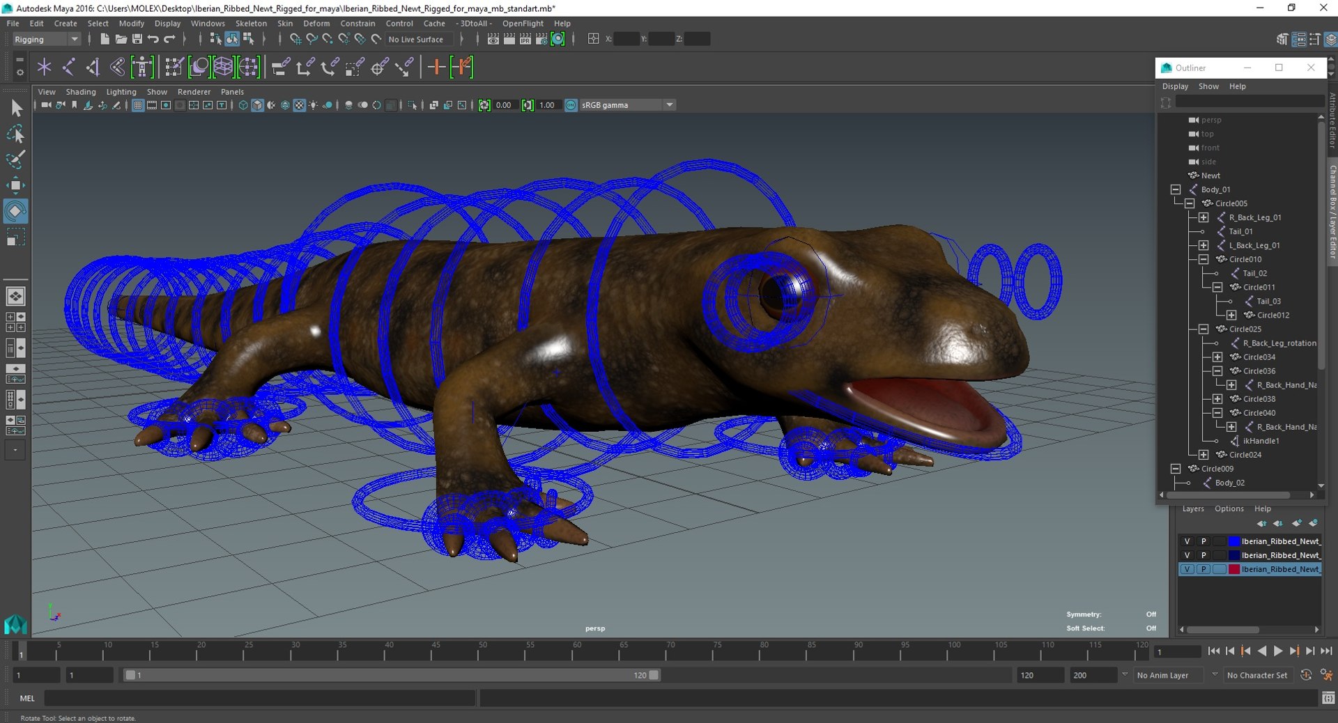 3D model Iberian Ribbed Newt Rigged for Maya https://p.turbosquid.com/ts-thumb/bg/HdPyFk/gm/iberianribbednewtriggedformayavray3dmodel039/jpg/1701155299/1920x1080/fit_q87/d3d67d5a35aedbcc4affe5add5f8f82fe9644066/iberianribbednewtriggedformayavray3dmodel039.jpg