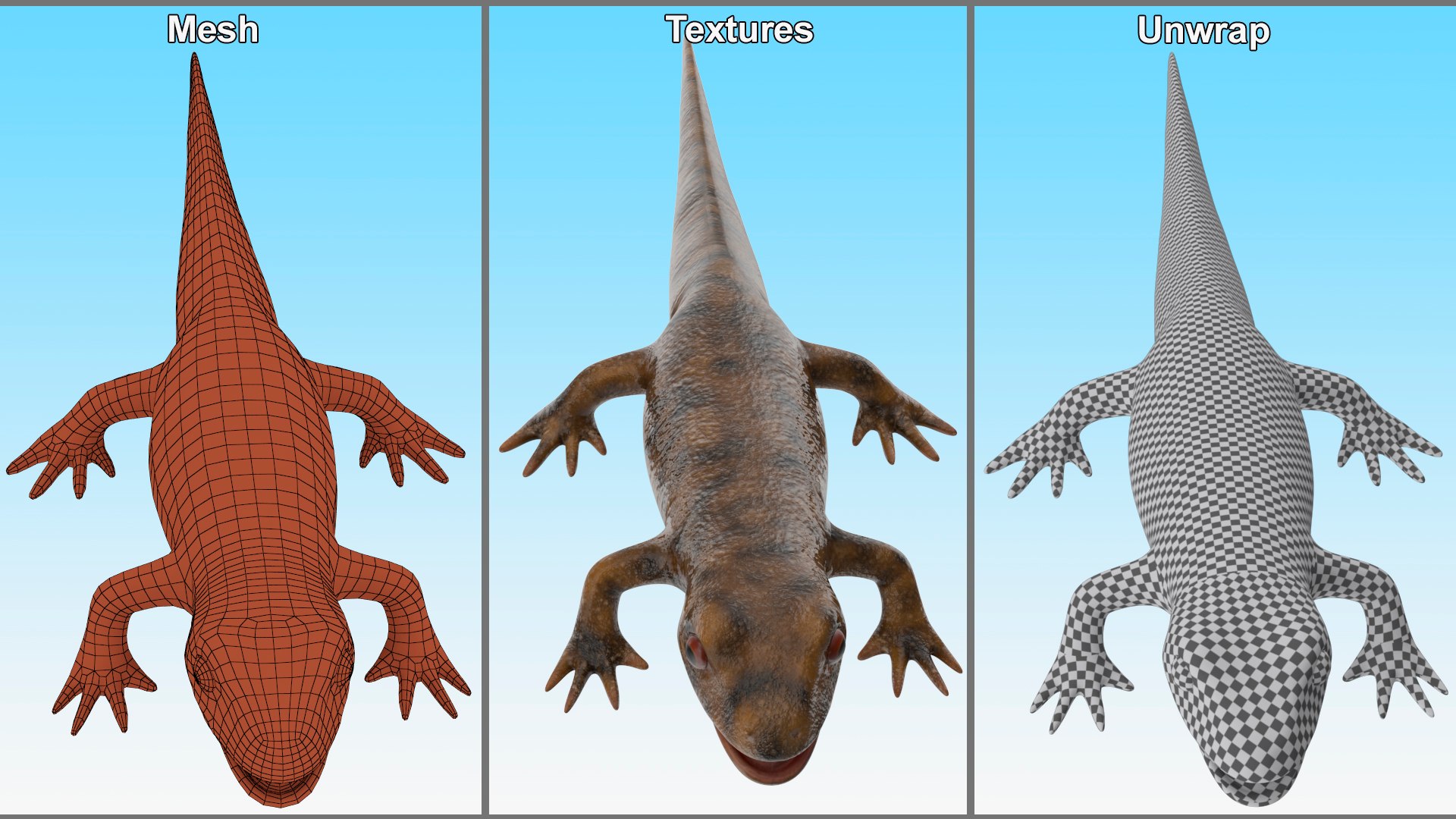 3D model Iberian Ribbed Newt Rigged for Maya https://p.turbosquid.com/ts-thumb/bg/HdPyFk/vY/iberianribbednewtriggedformayavray3dmodel025/jpg/1701155243/1920x1080/fit_q87/94bb0c82f4da8f63676751f0eef518d213a21d2f/iberianribbednewtriggedformayavray3dmodel025.jpg