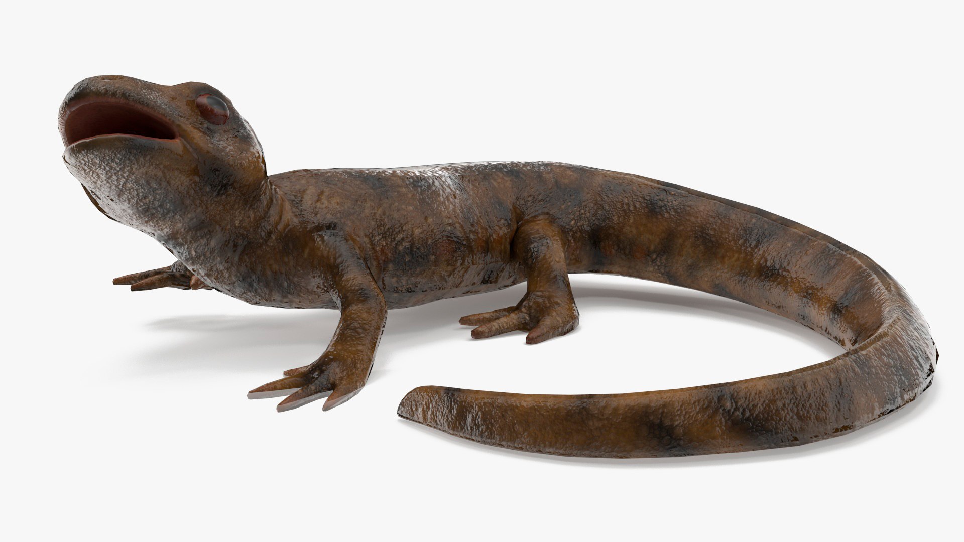 3D model Iberian Ribbed Newt Rigged for Maya https://p.turbosquid.com/ts-thumb/bg/HdPyFk/z1/iberianribbednewtriggedformayavray3dmodel019/jpg/1701155217/1920x1080/fit_q87/da3c0b4b36623e0451e819edb944f18d04280737/iberianribbednewtriggedformayavray3dmodel019.jpg