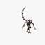 Alien Concept 003 2016 (9 animacji)
