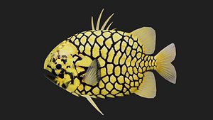 Snapper 3D model
