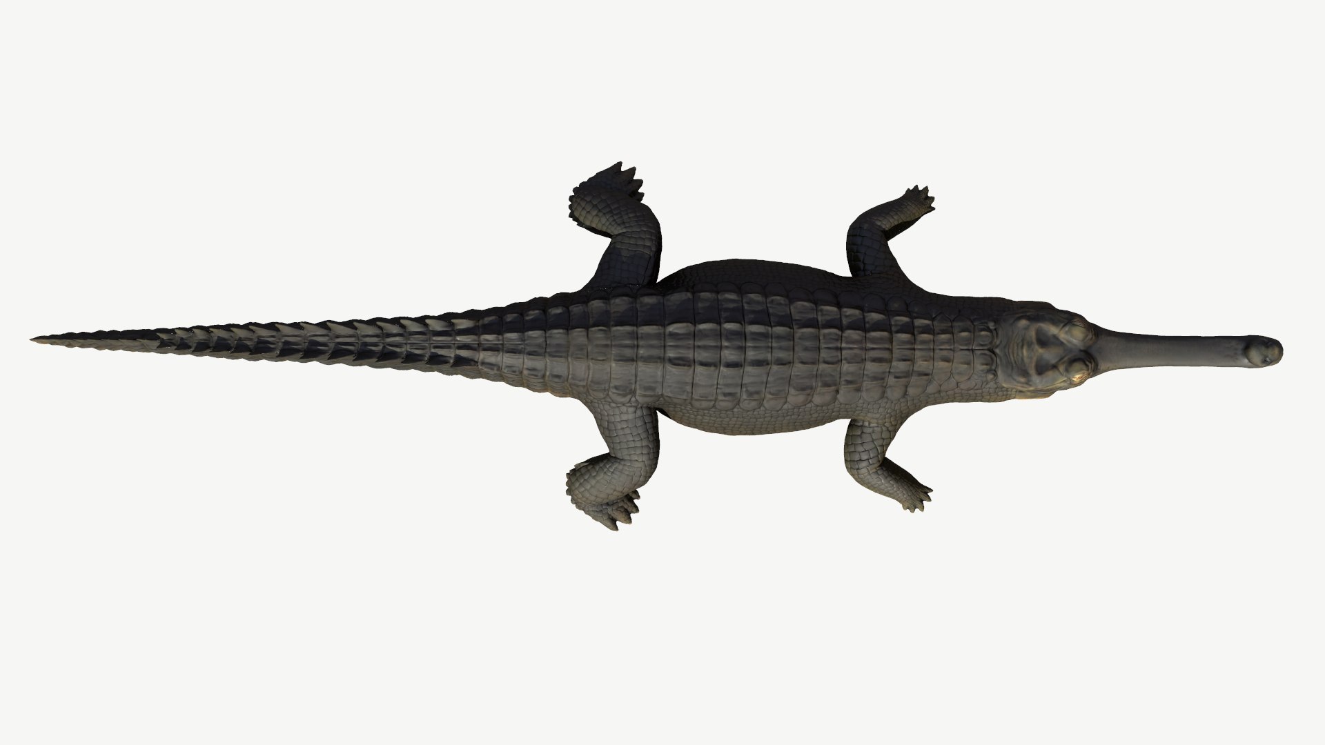 3d model gharial crocodile https://p.turbosquid.com/ts-thumb/bg/tuyX5o/5p/4/png/1728372374/1920x1080/fit_q87/76f2d03067ddbee393a5ff90087c184e7a9a37c2/4.jpg
