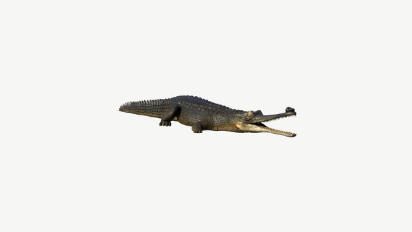 3d model gharial crocodile