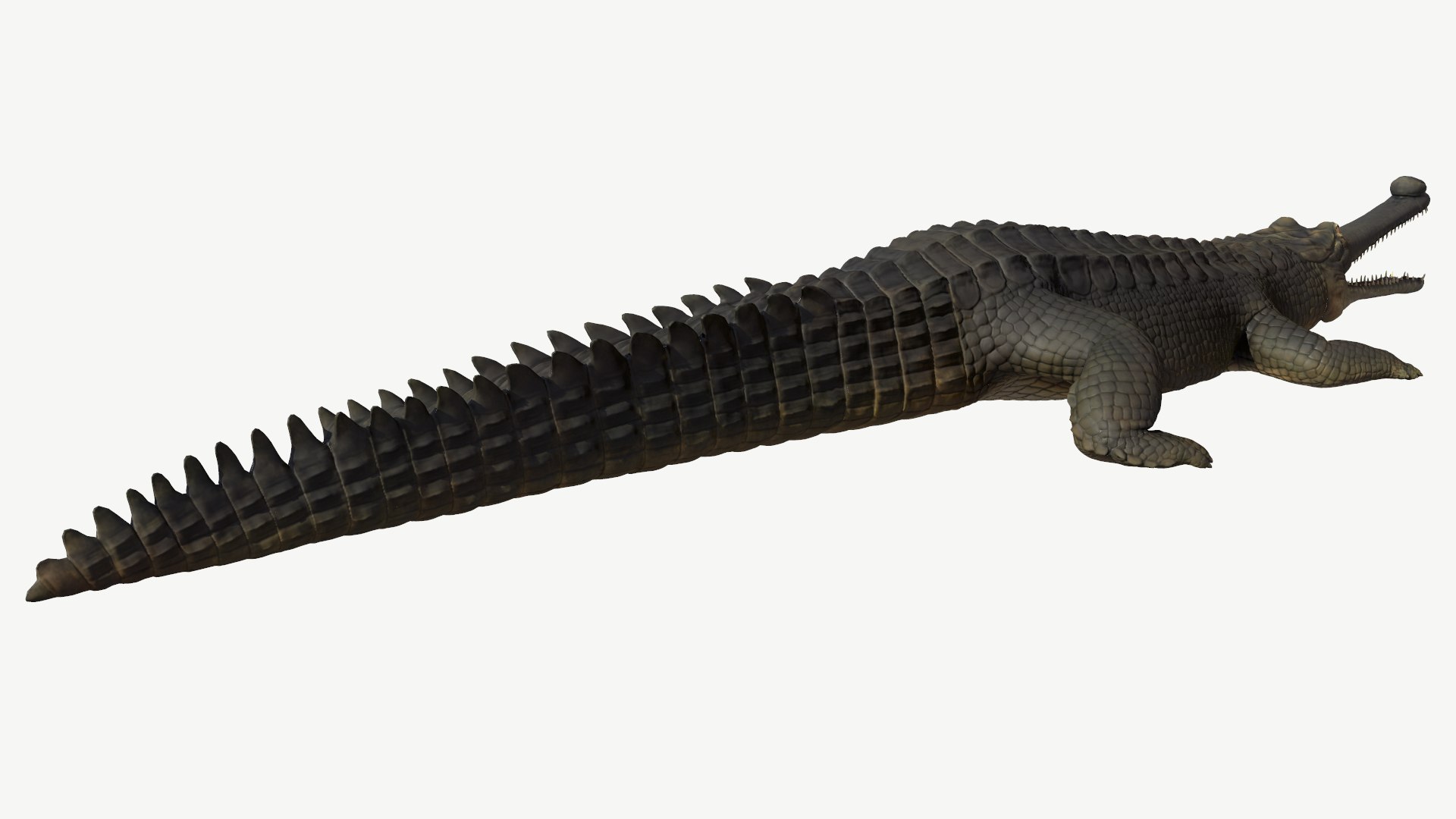 3d model gharial crocodile https://p.turbosquid.com/ts-thumb/bg/tuyX5o/PP/3/png/1728372373/1920x1080/fit_q87/46151fae0f3003a3b1848e46b191b1710c452ced/3.jpg