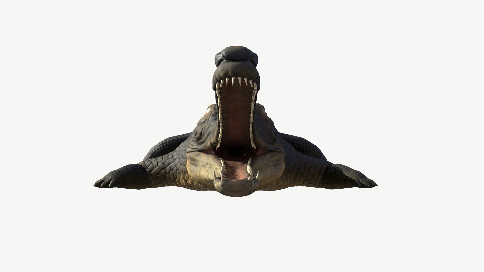 3d model gharial crocodile https://p.turbosquid.com/ts-thumb/bg/tuyX5o/Uu/5/png/1728372375/1920x1080/fit_q87/62bc7204e011610b58ebafd54ccb9ceac628633c/5.jpg