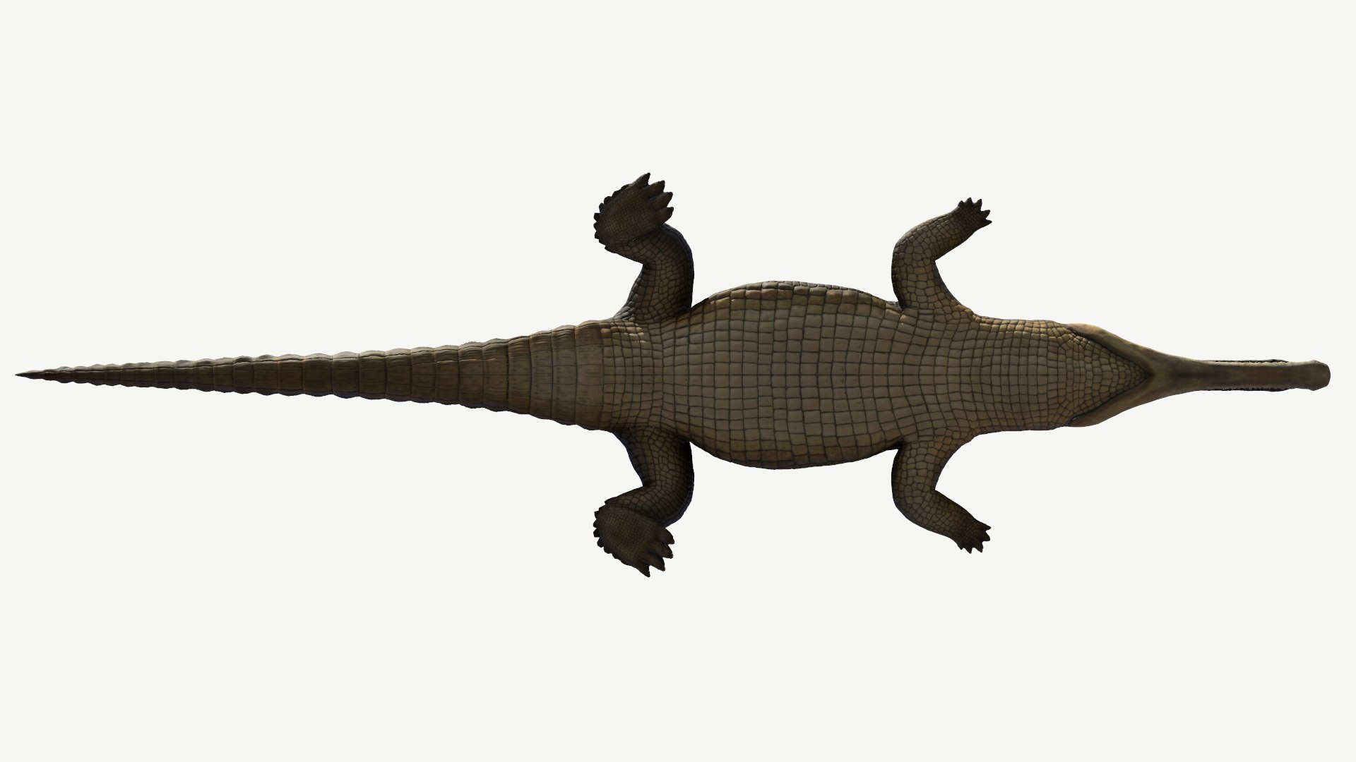 3d model gharial crocodile https://p.turbosquid.com/ts-thumb/bg/tuyX5o/sj/6/png/1728372376/1920x1080/fit_q87/c5e761e50f35835238dd527cf2b4f9cd5ca6d1d8/6.jpg