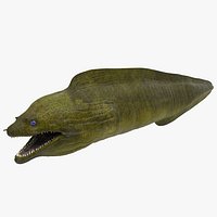 Murena