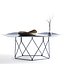 Coda Coffee Table by Leolux