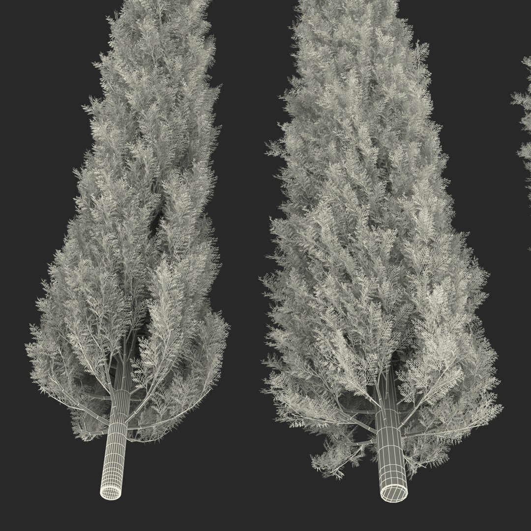 cypress trees set 3d 3ds https://p.turbosquid.com/ts-thumb/bh/3KUKQ2/2cJJAXLB/cypresstrees3dmodelsset48/jpg/1458447690/1920x1080/fit_q87/1eaa991d91836a2dd65c1ab1e4447ebd044bf885/cypresstrees3dmodelsset48.jpg