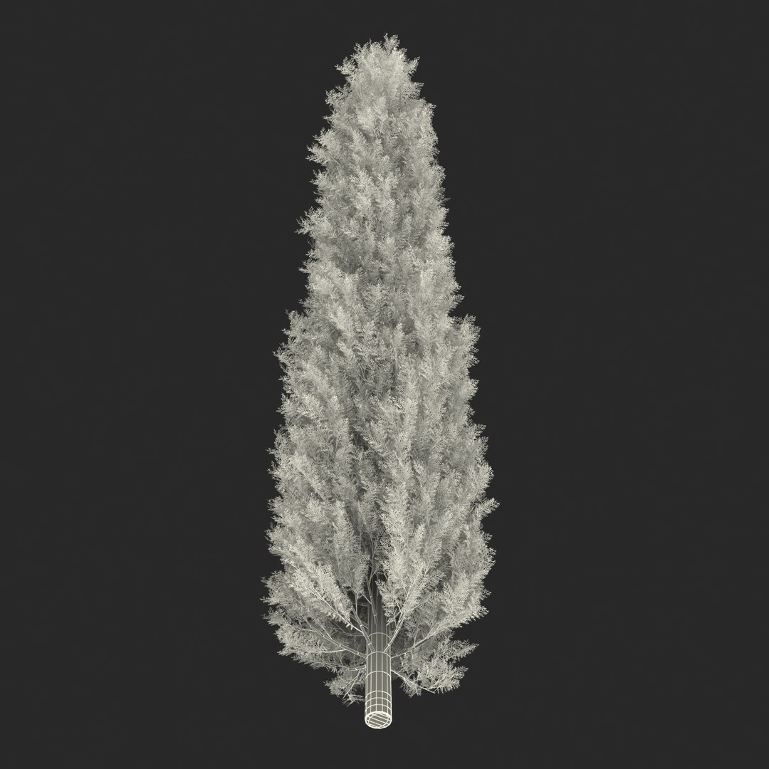 cypress trees set 3d 3ds https://p.turbosquid.com/ts-thumb/bh/3KUKQ2/3lZgjKLP/cypresstrees3dmodelsset43/jpg/1458447689/1920x1080/fit_q87/8482cce2c581a74402669109bb116c0d0b133927/cypresstrees3dmodelsset43.jpg