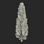 Cypress Trees 3D Models Set