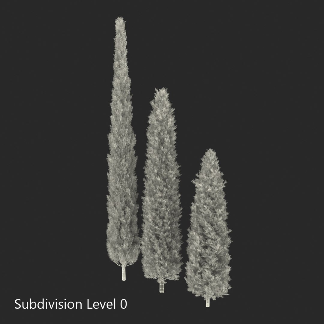 cypress trees set 3d 3ds https://p.turbosquid.com/ts-thumb/bh/3KUKQ2/3mLkcbTy/cypresstrees3dmodelsset32/jpg/1458447688/1920x1080/fit_q87/5537c5a8f1652bf032f03d8cb5a098f6999e8bf1/cypresstrees3dmodelsset32.jpg