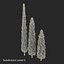 Cypress Trees 3D Models Set