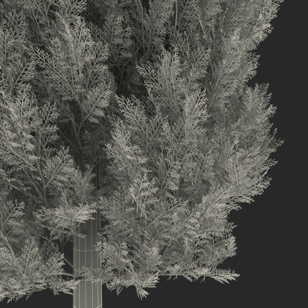 cypress trees set 3d 3ds https://p.turbosquid.com/ts-thumb/bh/3KUKQ2/4uFe38pq/cypresstrees3dmodelsset51/jpg/1458447690/1920x1080/fit_q87/0da7310815af7a4bcca66d40f8b21c0f844042d8/cypresstrees3dmodelsset51.jpg