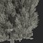 Cypress Trees 3D Models Set