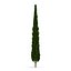 Cypress Trees 3D Models Set