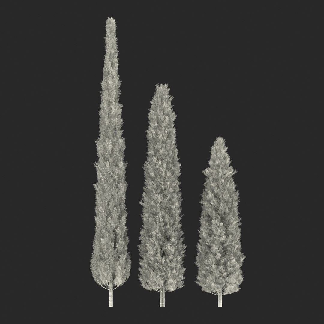cypress trees set 3d 3ds https://p.turbosquid.com/ts-thumb/bh/3KUKQ2/5odWSApC/cypresstrees3dmodelsset38/jpg/1458447689/1920x1080/fit_q87/d83176ae9de77510fc5043b054fd3e32a5057d49/cypresstrees3dmodelsset38.jpg