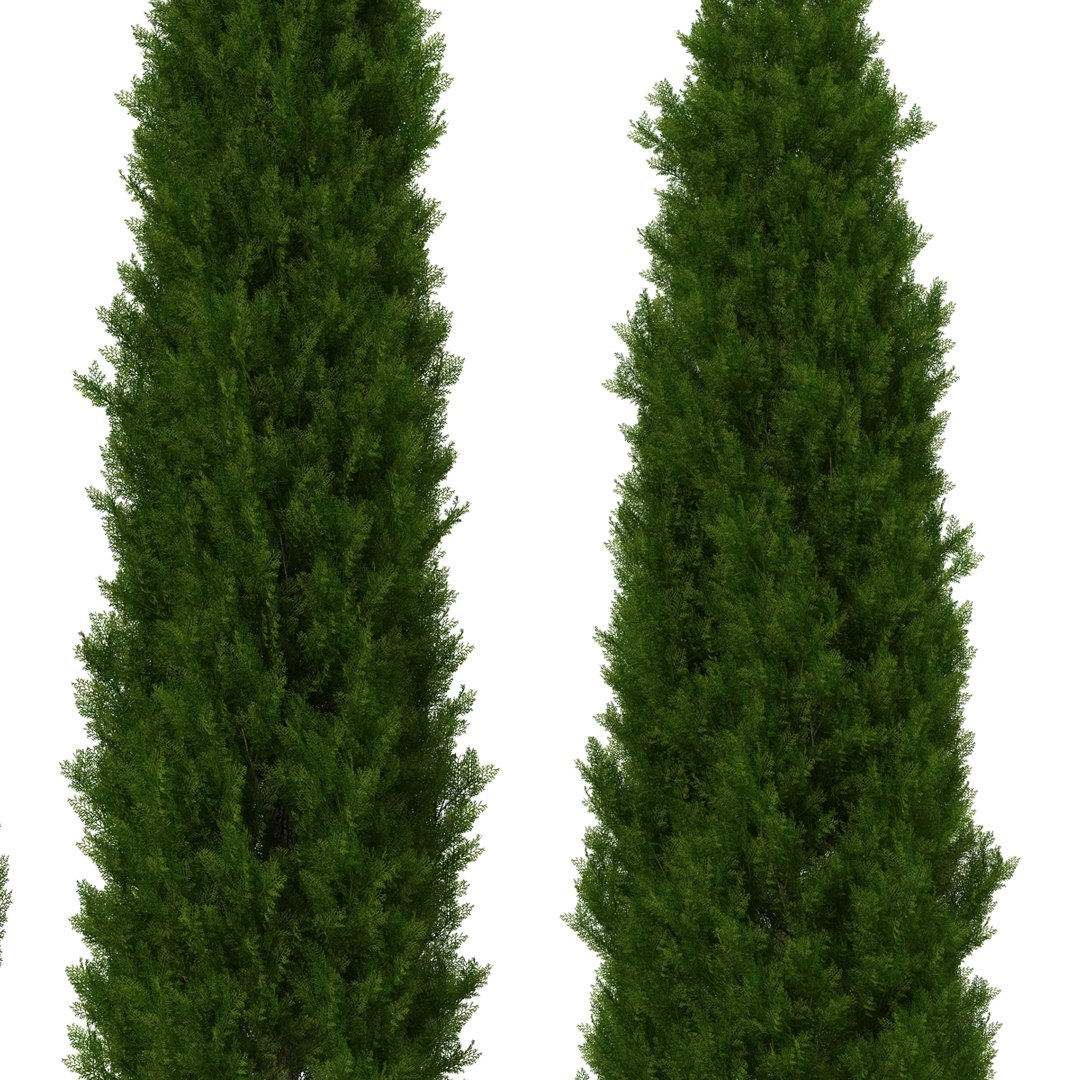 cypress trees set 3d 3ds https://p.turbosquid.com/ts-thumb/bh/3KUKQ2/8wxFxUOn/cypresstrees3dmodelsset23/jpg/1458447687/1920x1080/fit_q87/255b1124fa4e49fd20394ac9d104fadc8a0cb2e6/cypresstrees3dmodelsset23.jpg