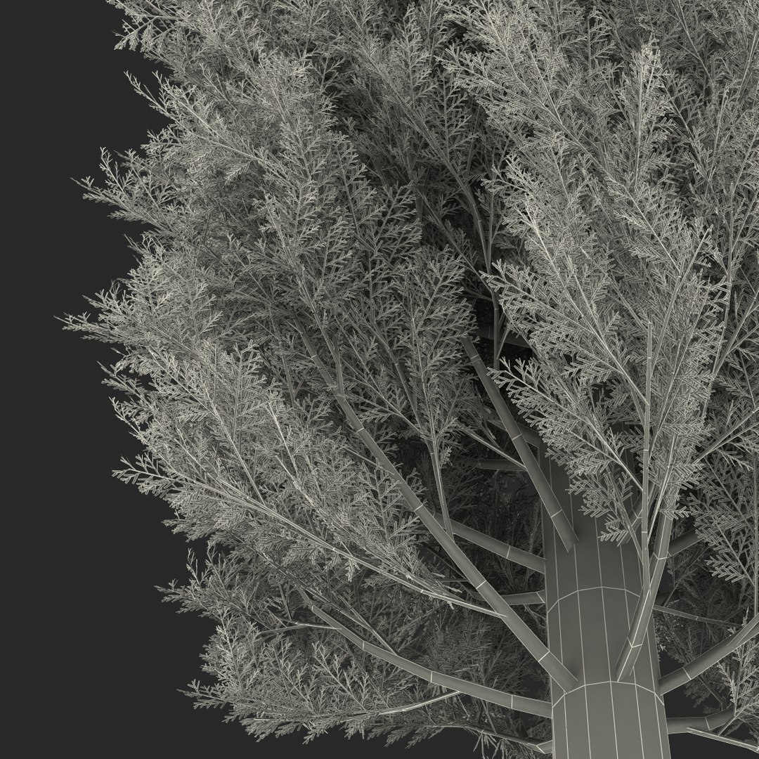 cypress trees set 3d 3ds https://p.turbosquid.com/ts-thumb/bh/3KUKQ2/IszLP0tT/cypresstrees3dmodelsset50/jpg/1458447690/1920x1080/fit_q87/3825710810af3419f4cd4b293fe9e096b6078563/cypresstrees3dmodelsset50.jpg