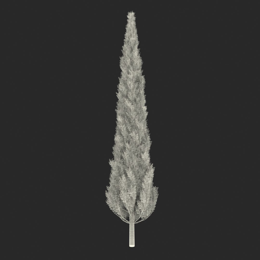 cypress trees set 3d 3ds https://p.turbosquid.com/ts-thumb/bh/3KUKQ2/Oft6R8bT/cypresstrees3dmodelsset41/jpg/1458447689/1920x1080/fit_q87/9fbeadd81f738b28537e5beeb112113f43544496/cypresstrees3dmodelsset41.jpg