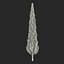 Cypress Trees 3D Models Set