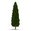 Cypress Trees 3D Models Set