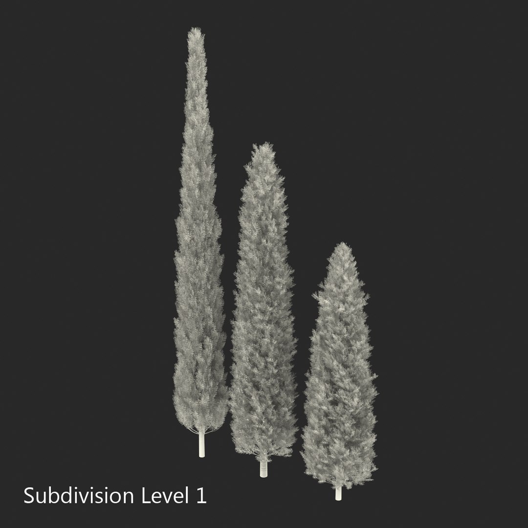 cypress trees set 3d 3ds https://p.turbosquid.com/ts-thumb/bh/3KUKQ2/SIQcHni1/cypresstrees3dmodelsset33/jpg/1458447688/1920x1080/fit_q87/deaaf4d657f810577f849023feb50cc85c25eea5/cypresstrees3dmodelsset33.jpg
