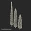 Cypress Trees 3D Models Set