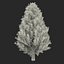 Cypress Trees 3D Models Set