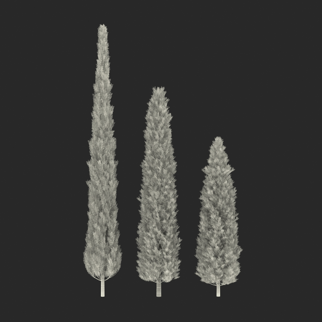 cypress trees set 3d 3ds https://p.turbosquid.com/ts-thumb/bh/3KUKQ2/ZvOAKTCp/cypress_trees_set_361/jpg/1458447870/1920x1080/turn_fit_q99/52b989bdb8f20659915581465ee3d6df04cd2847/cypress_trees_set_361-1.jpg