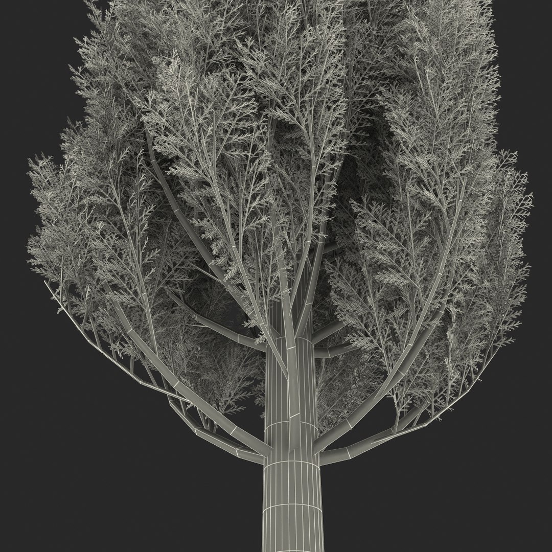 cypress trees set 3d 3ds https://p.turbosquid.com/ts-thumb/bh/3KUKQ2/cOf4v21I/cypresstrees3dmodelsset49/jpg/1458447690/1920x1080/fit_q87/83b3dbfcaca58b2632ceed7877205420981e04de/cypresstrees3dmodelsset49.jpg