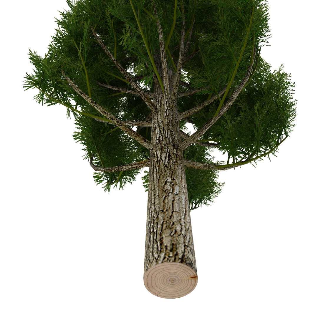 cypress trees set 3d 3ds https://p.turbosquid.com/ts-thumb/bh/3KUKQ2/ddtKnZ62/cypresstrees3dmodelsset31/jpg/1458447688/1920x1080/fit_q87/c08a5129868417f6432fd81ebad435b052949f72/cypresstrees3dmodelsset31.jpg