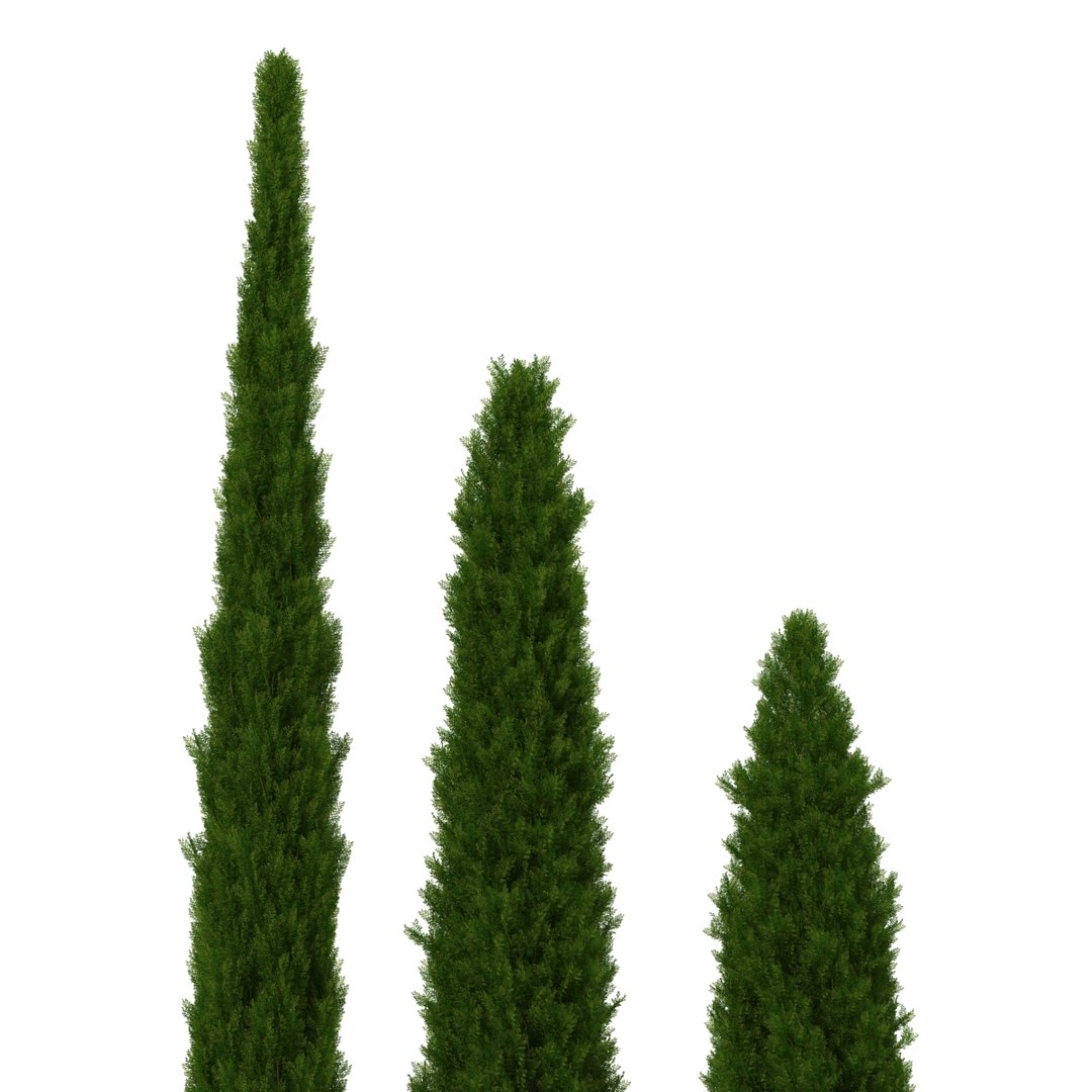 cypress trees set 3d 3ds https://p.turbosquid.com/ts-thumb/bh/3KUKQ2/eheuU8lt/cypresstrees3dmodelsset19/jpg/1458447686/1920x1080/fit_q87/37b83bf3ea225121185e9ffcc3df829f6e5f692a/cypresstrees3dmodelsset19.jpg