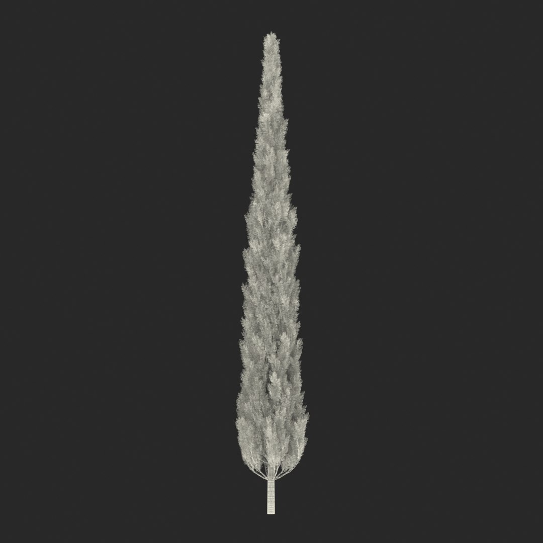 cypress trees set 3d 3ds https://p.turbosquid.com/ts-thumb/bh/3KUKQ2/fRSZcrqB/cypresstrees3dmodelsset40/jpg/1458447689/1920x1080/fit_q87/3a7ecc0da30c60c9244111f9fa0cc351f2237942/cypresstrees3dmodelsset40.jpg