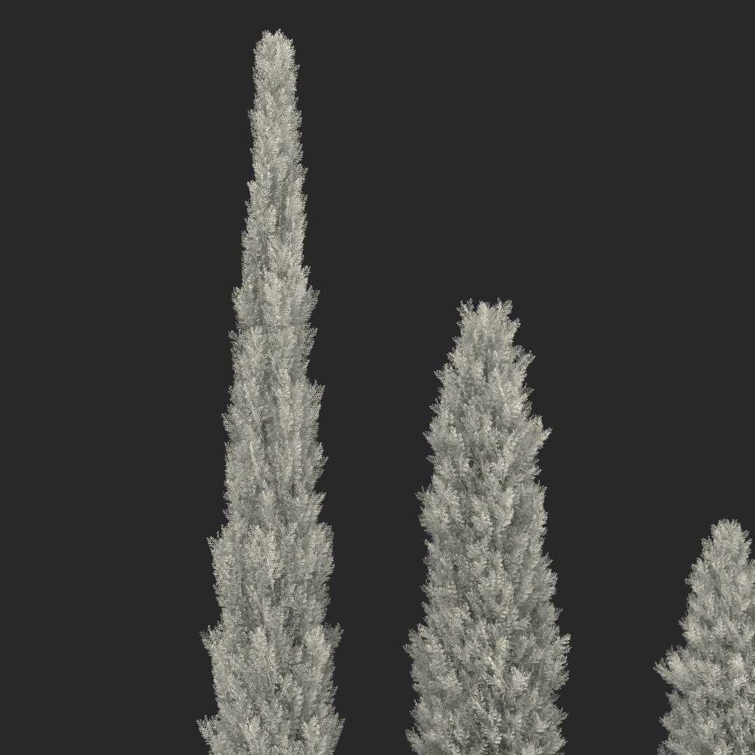 cypress trees set 3d 3ds https://p.turbosquid.com/ts-thumb/bh/3KUKQ2/h64V4tLa/cypresstrees3dmodelsset46/jpg/1458447690/1920x1080/fit_q87/b1f9f0b180a13a85cd9551a631c53f1a8dce76b4/cypresstrees3dmodelsset46.jpg