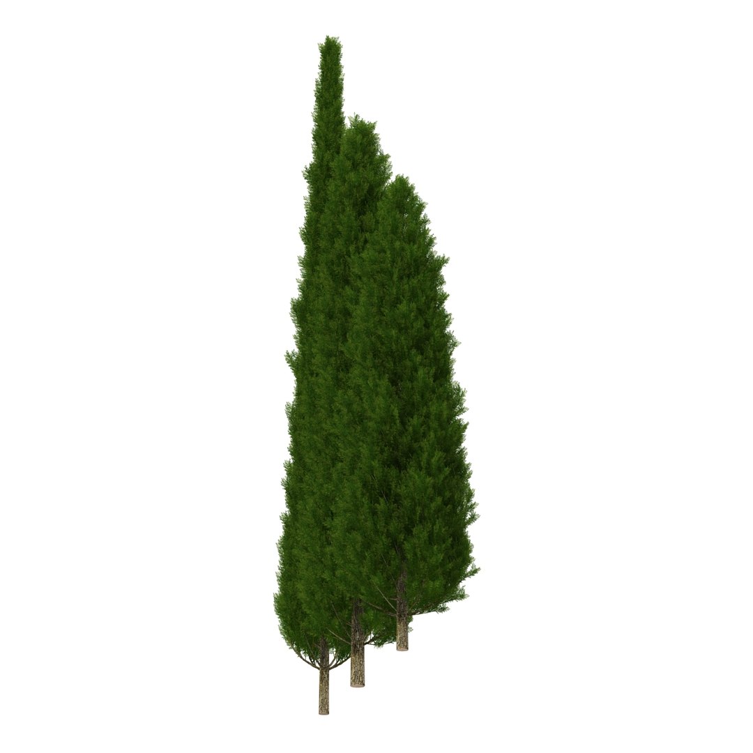 cypress trees set 3d 3ds https://p.turbosquid.com/ts-thumb/bh/3KUKQ2/hPrfOoQq/cypresstrees3dmodelsset12/jpg/1458447685/1920x1080/fit_q87/ecaeedb36c1997a0e187c458f24c9d94ff1ddd77/cypresstrees3dmodelsset12.jpg