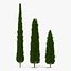 Cypress Trees 3D Models Set