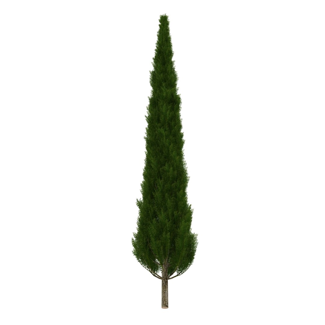 cypress trees set 3d 3ds https://p.turbosquid.com/ts-thumb/bh/3KUKQ2/mNVvYZKy/cypresstrees3dmodelsset14/jpg/1458447685/1920x1080/fit_q87/ab800dfc1ddd3f0ce196dabc9ce427ff59782bc7/cypresstrees3dmodelsset14.jpg