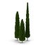 Cypress Trees 3D Models Set