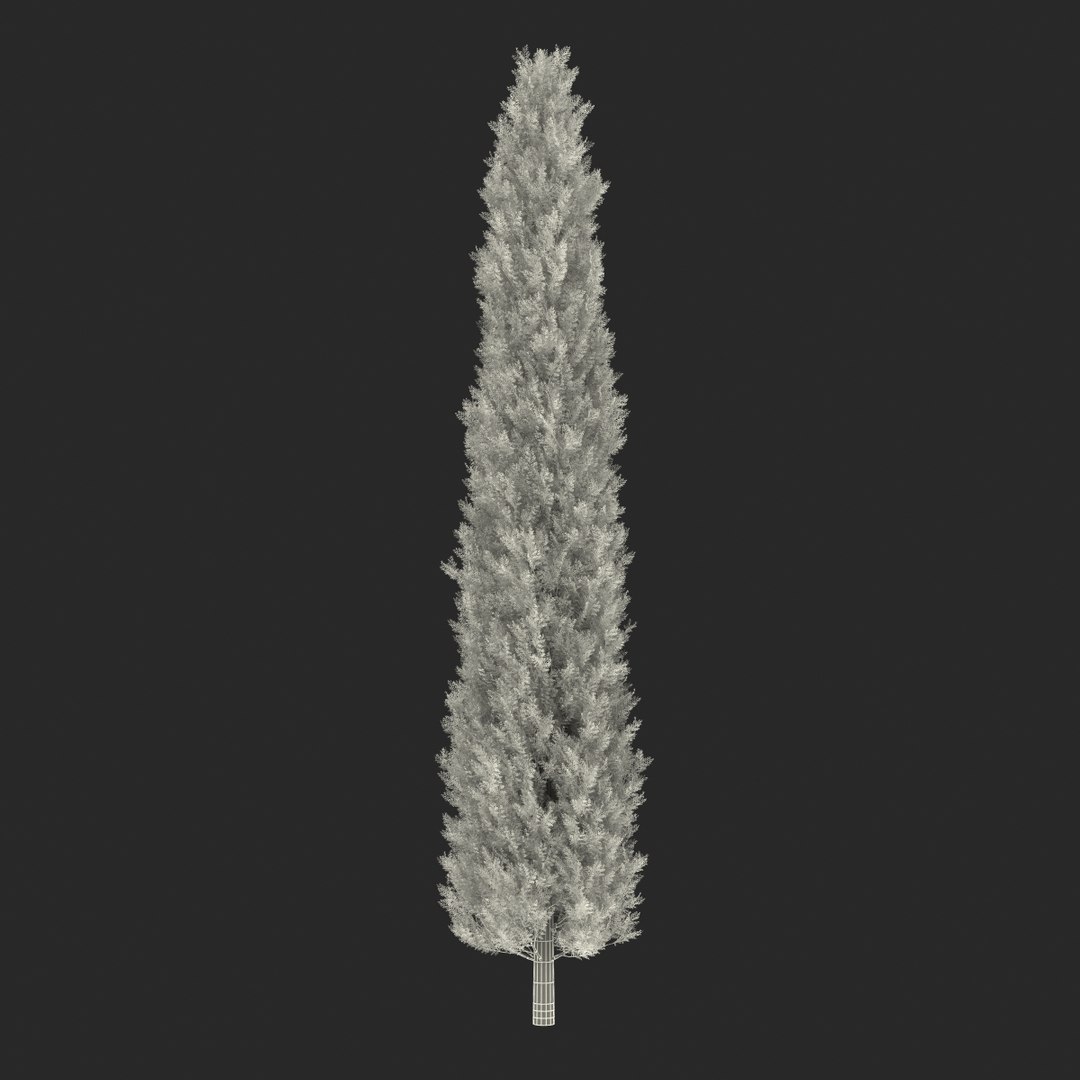 cypress trees set 3d 3ds https://p.turbosquid.com/ts-thumb/bh/3KUKQ2/nhPx2jCp/cypresstrees3dmodelsset42/jpg/1458447689/1920x1080/fit_q87/0f6acc83ef91fb194517c594daa4e44f50951cb1/cypresstrees3dmodelsset42.jpg