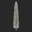 Cypress Trees 3D Models Set