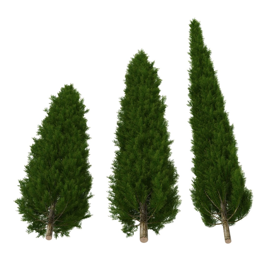 cypress trees set 3d 3ds https://p.turbosquid.com/ts-thumb/bh/3KUKQ2/qrmOXDcW/cypresstrees3dmodelsset08/jpg/1458447685/1920x1080/fit_q87/49bbb7e7ed0277881f96beb3a49e4a2c40558478/cypresstrees3dmodelsset08.jpg