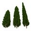 Cypress Trees 3D Models Set